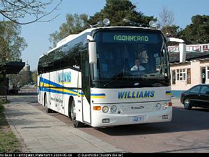 Williams_Buss