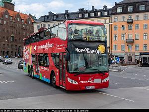 Red_City_Buses